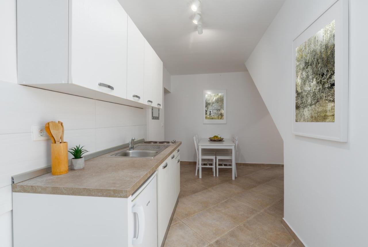 Apartments Agata Novigrad Istria المظهر الخارجي الصورة